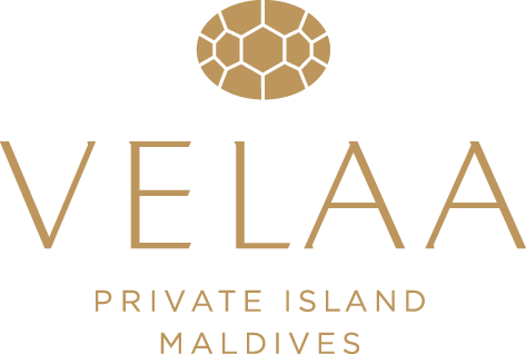 Brand_Velaa_gold_.png